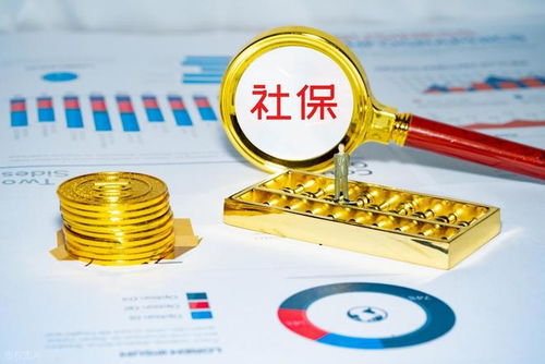 社保錢袋子誰掏空？強(qiáng)制繳費(fèi)究竟保護(hù)誰？企業(yè)最終僅認(rèn)這一招